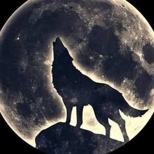 Meet your Posher, Robbie